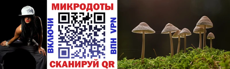 Галлюциногенные грибы прущие грибы  kraken как войти  Мезень 